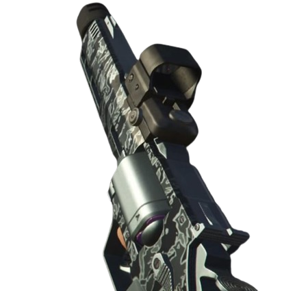 Weapon Finish Kit