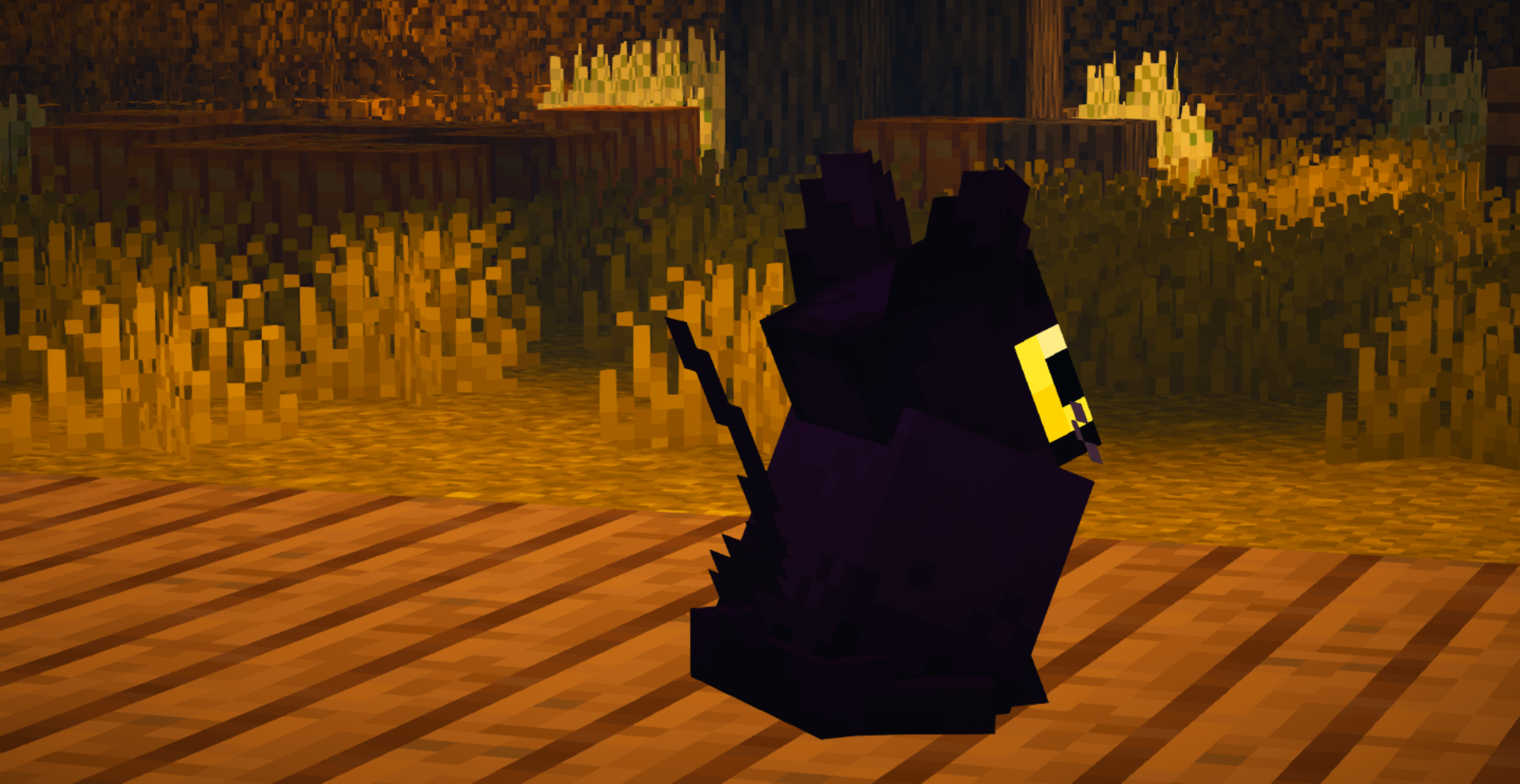 Black Cat
