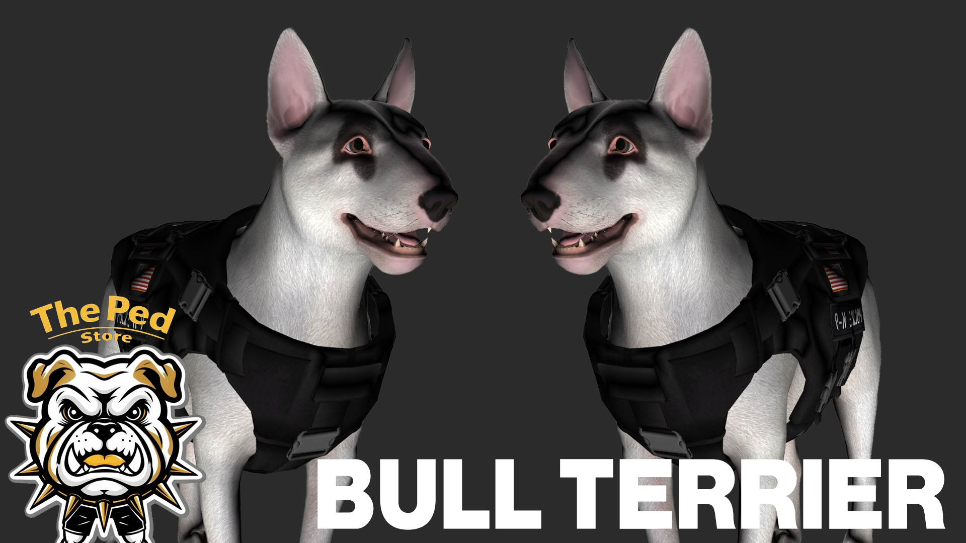 Police Bull Terrier