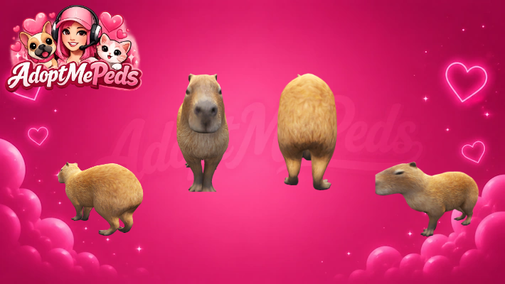 Capybara