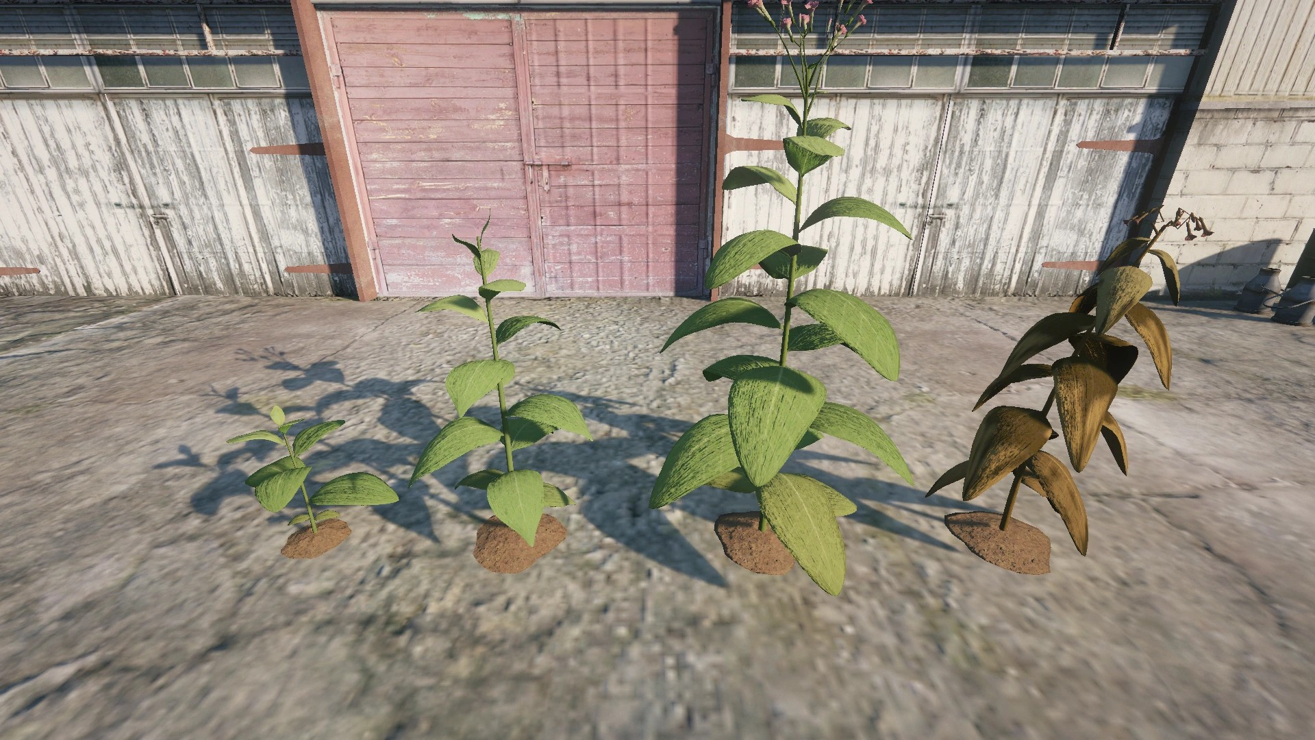 Farm Props: Street Crops - 6