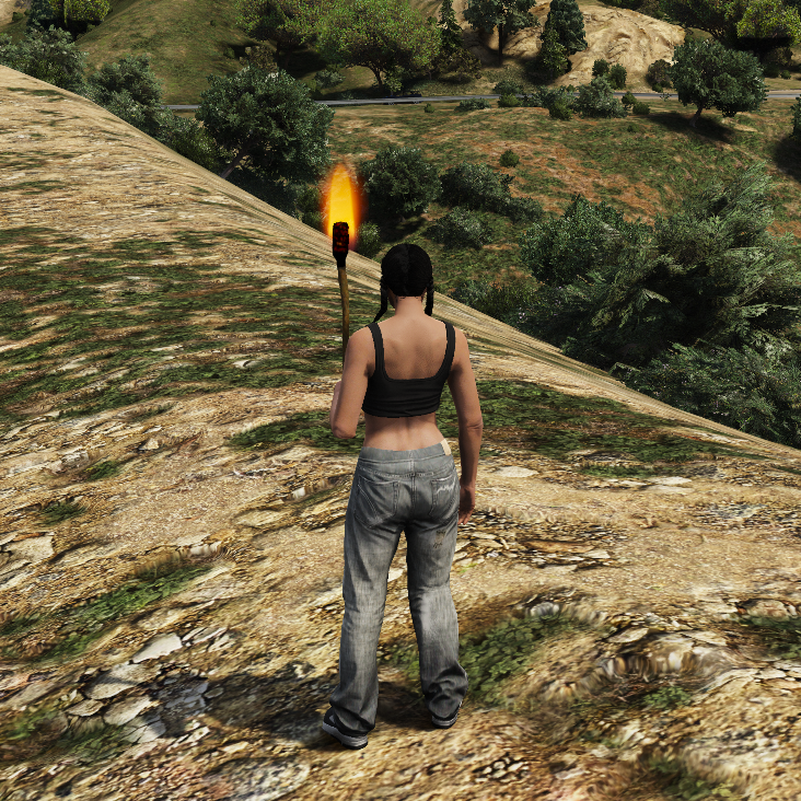 Torch with fire V2