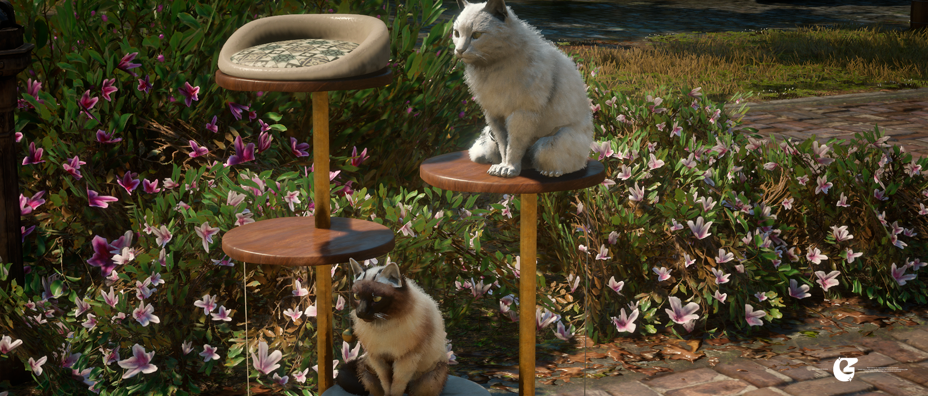 [ Cat Pack ]