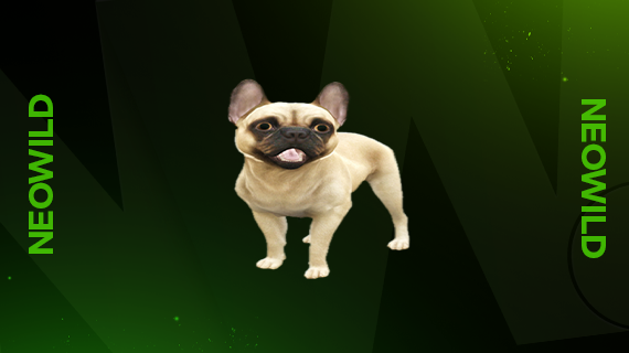 [Free] French Bulldog Pug