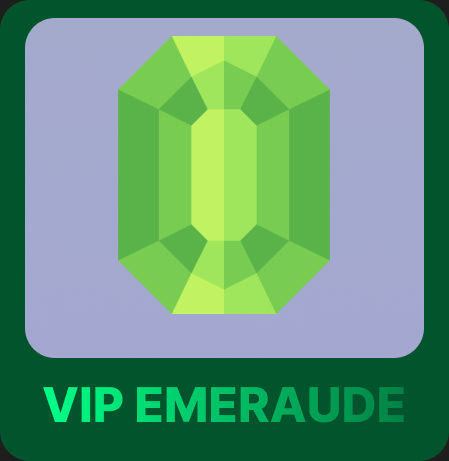 VIP Emeraude | Perm