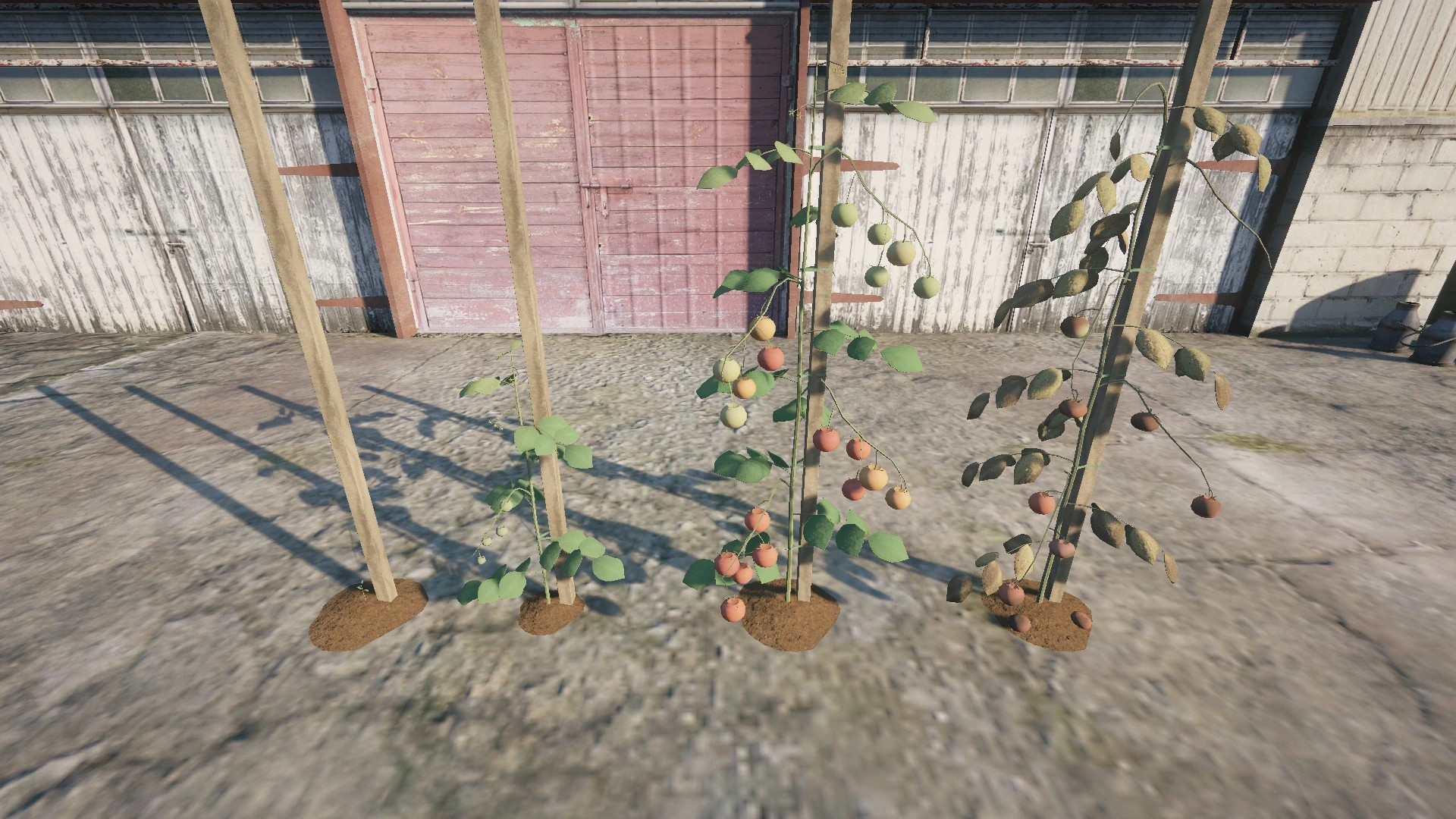 Farm Props: Garden Vegetables - 6
