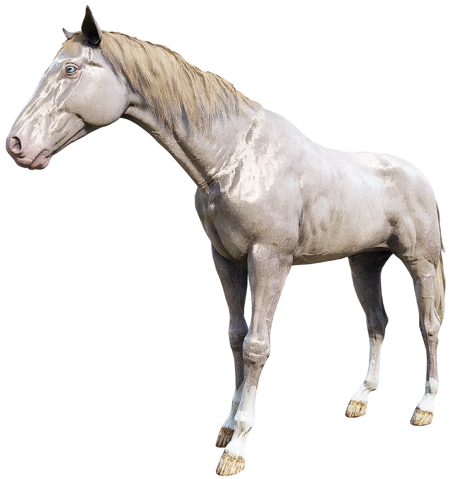 Buckskin American Standardbred