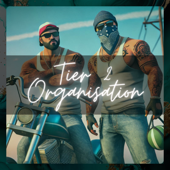 Tier 2 Organisation :  Street Package preview