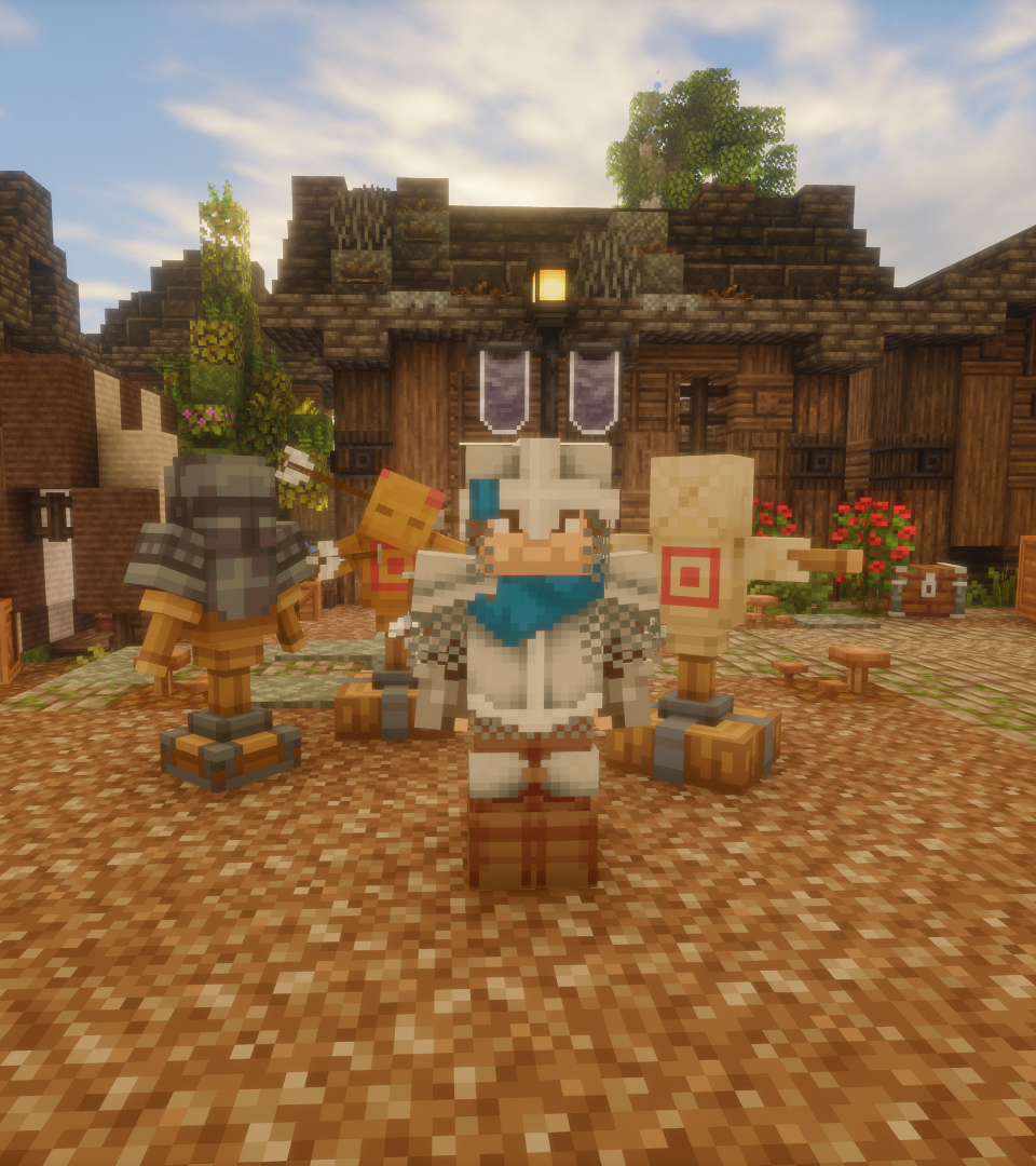 Chainmail Warrior Set
