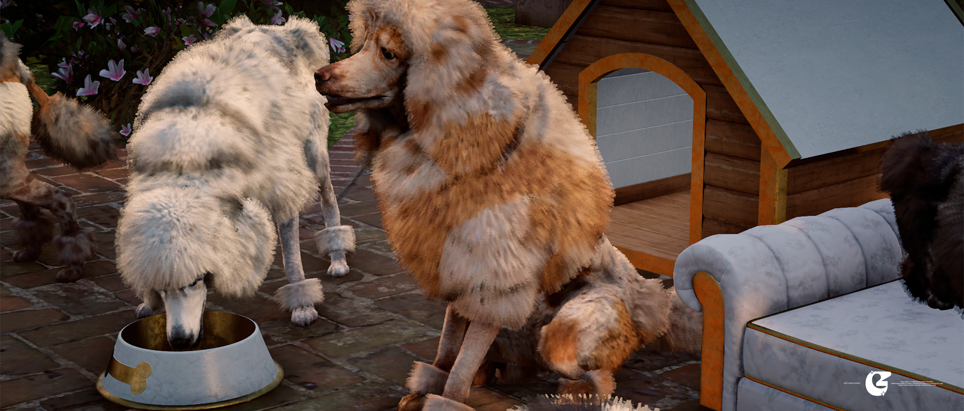 [ Poodle Pack ]