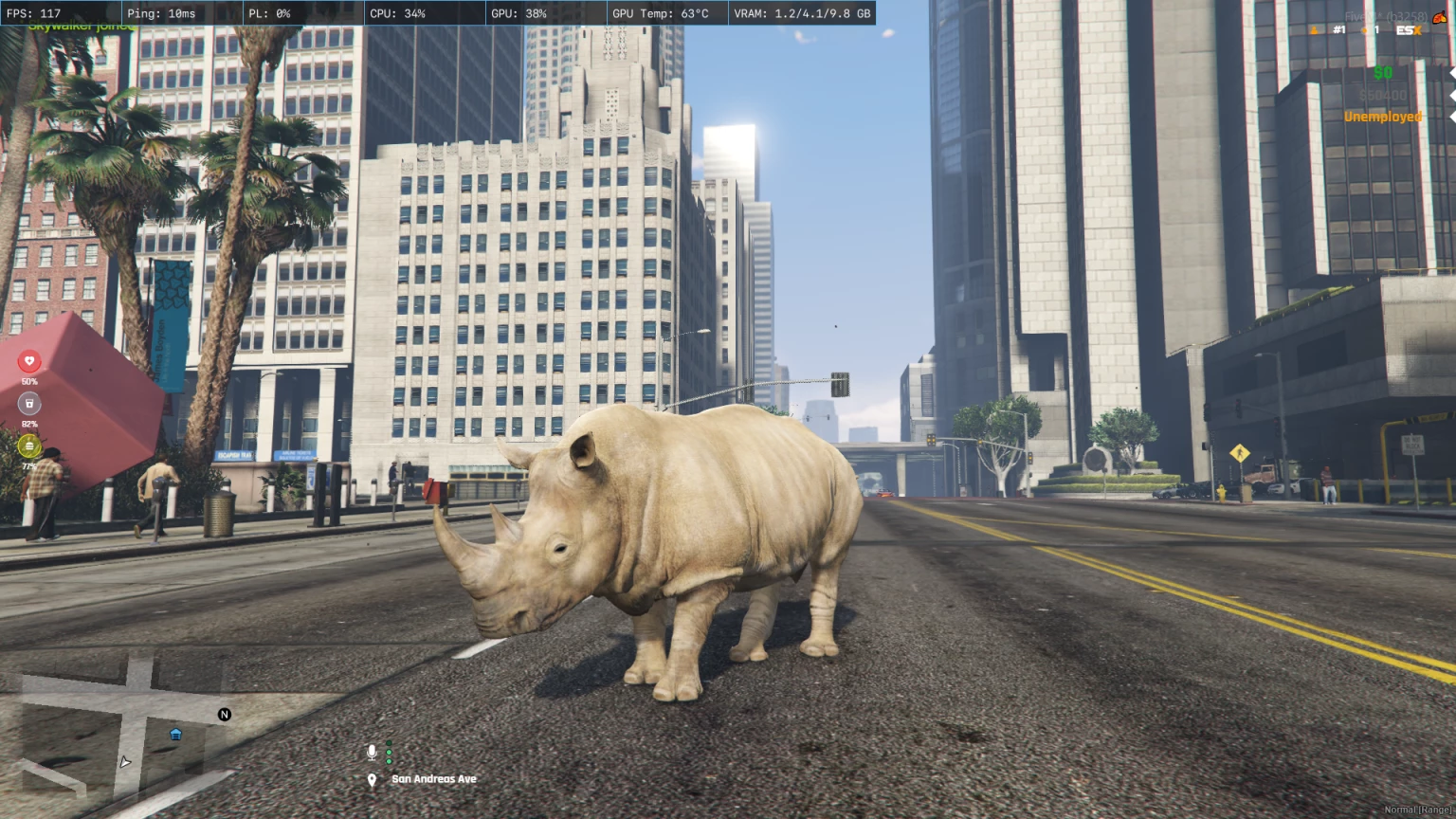 Rhino