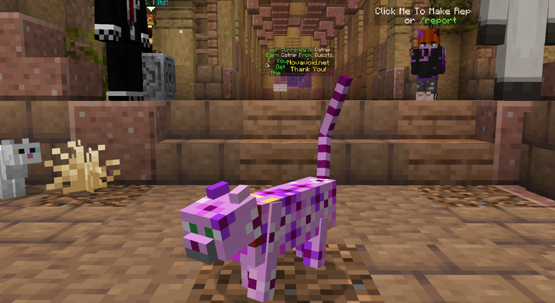 Poppin Candy Cat — cosmetic Cat Skins item on the NovaVoid Cat Civilization Minecraft server