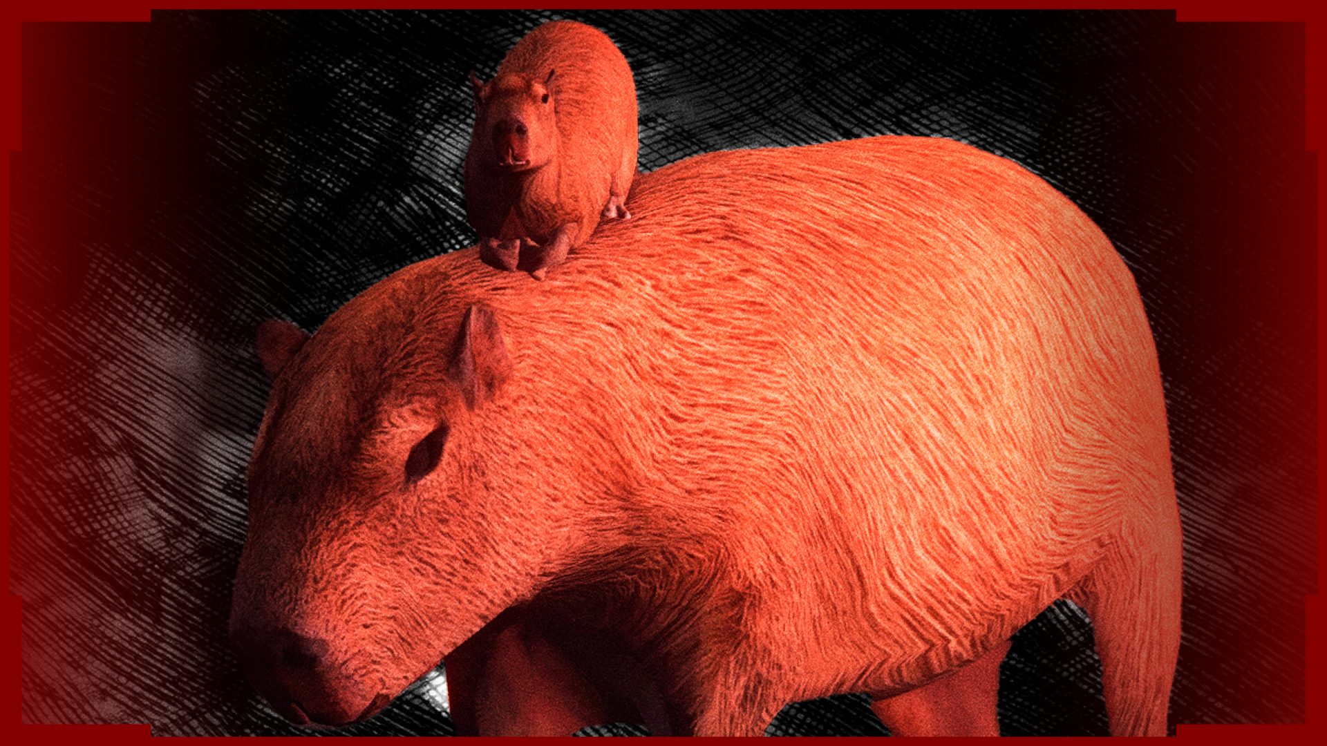 Capybara [Big and small version]