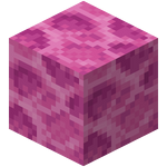 Coral++