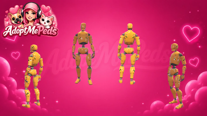 Dummy