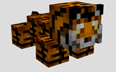 TigerCub