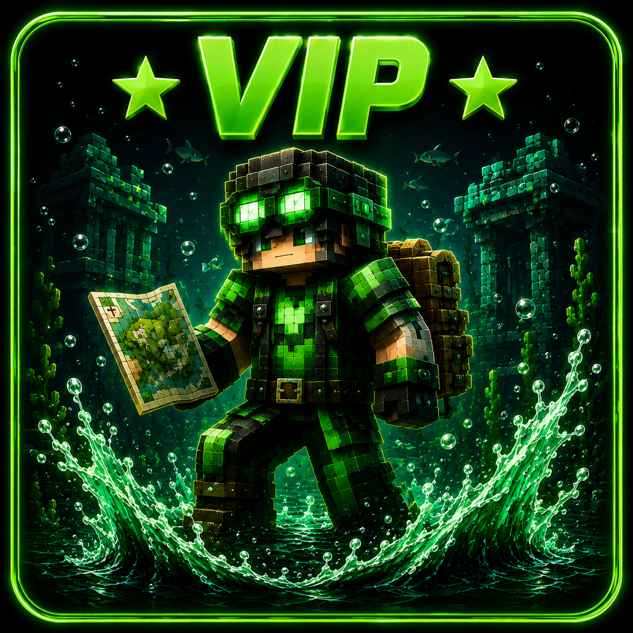 ⭐ VIP Rank