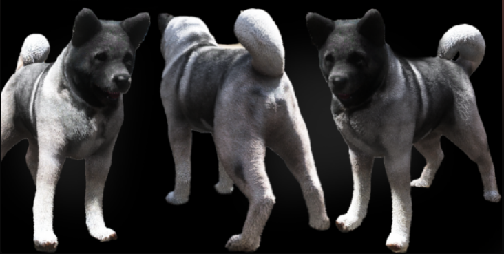 Akita Inu