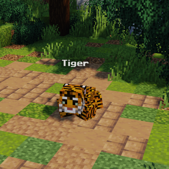 Tiger Pet