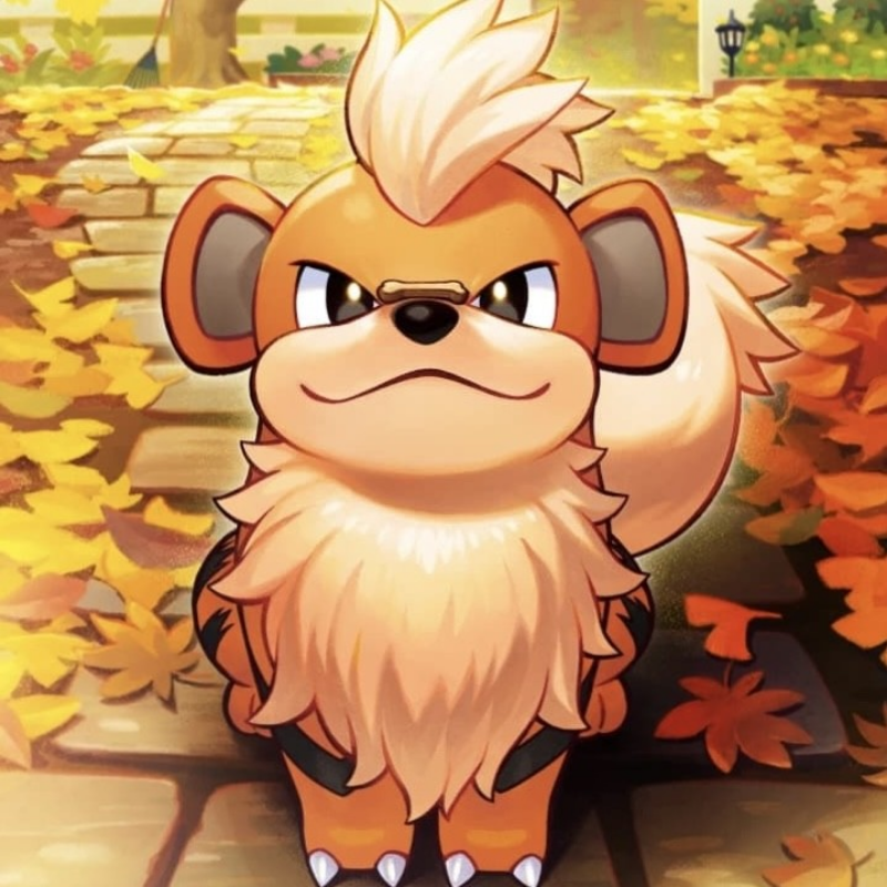 Scout