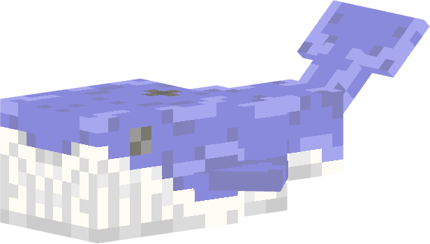 Whale Rank