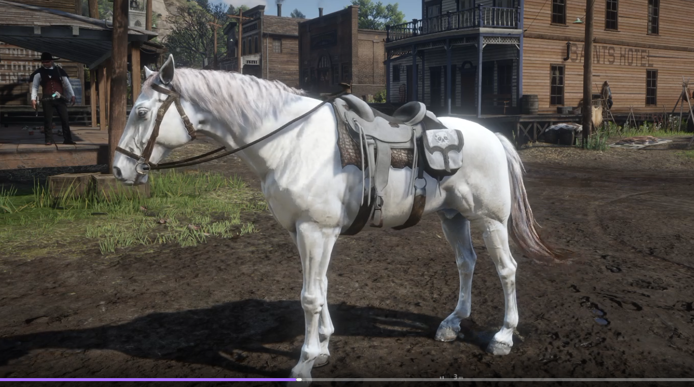 Niederländisches Warmblut White