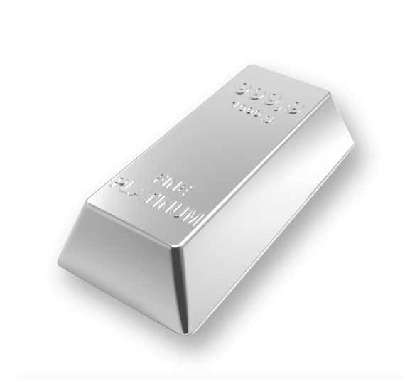 Platinum Supporter