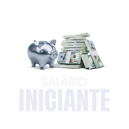 Salario Iniciante - R$ 10.000