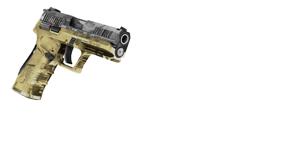 SXZ12 EXECUTIONER