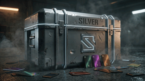 SILVER BLACK MARKET BUNDLE