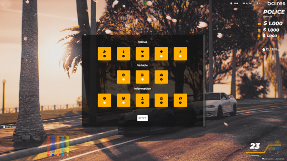 HUD ToonHud ESX