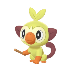 6 IV Shiny Grookey