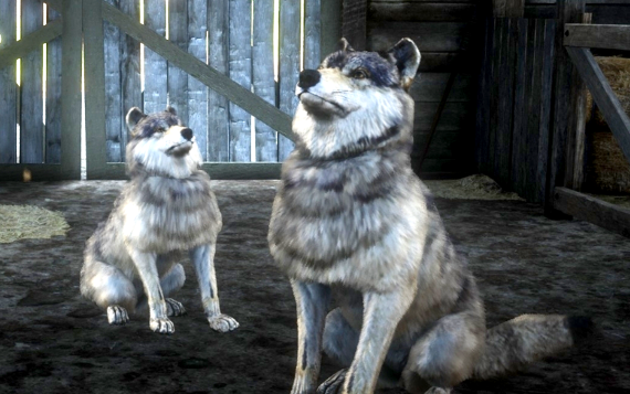 White  Wolf 
