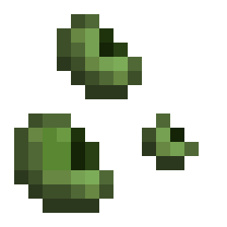 Green Bean Seed