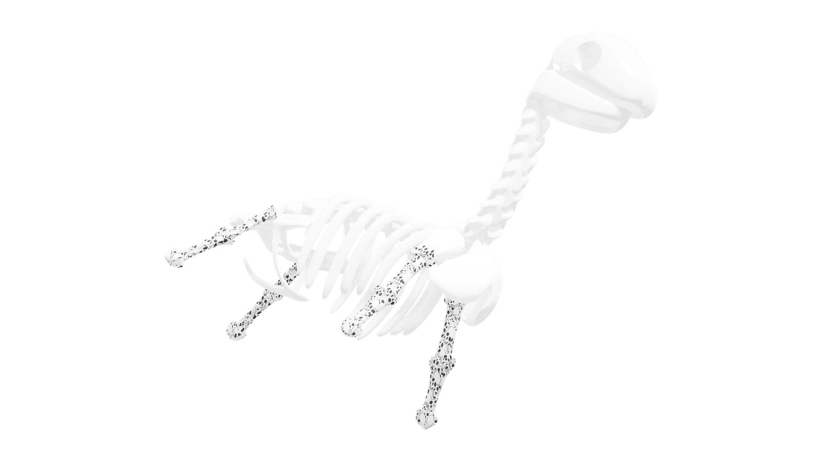LDSTORE BN - DINO BONES