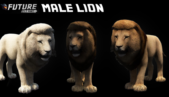 [ANIMAL] Male Lion