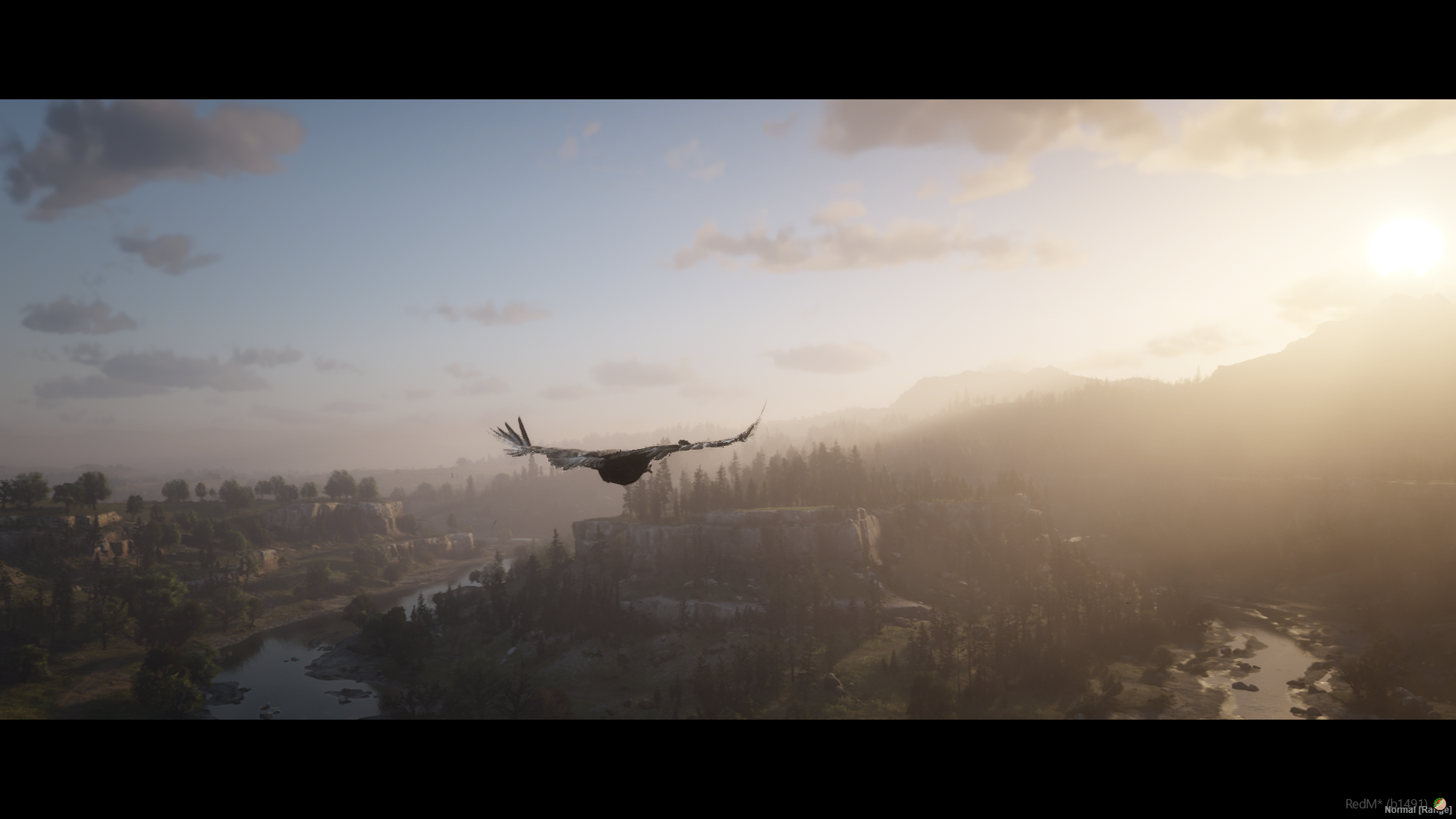 EMP Eagleflies