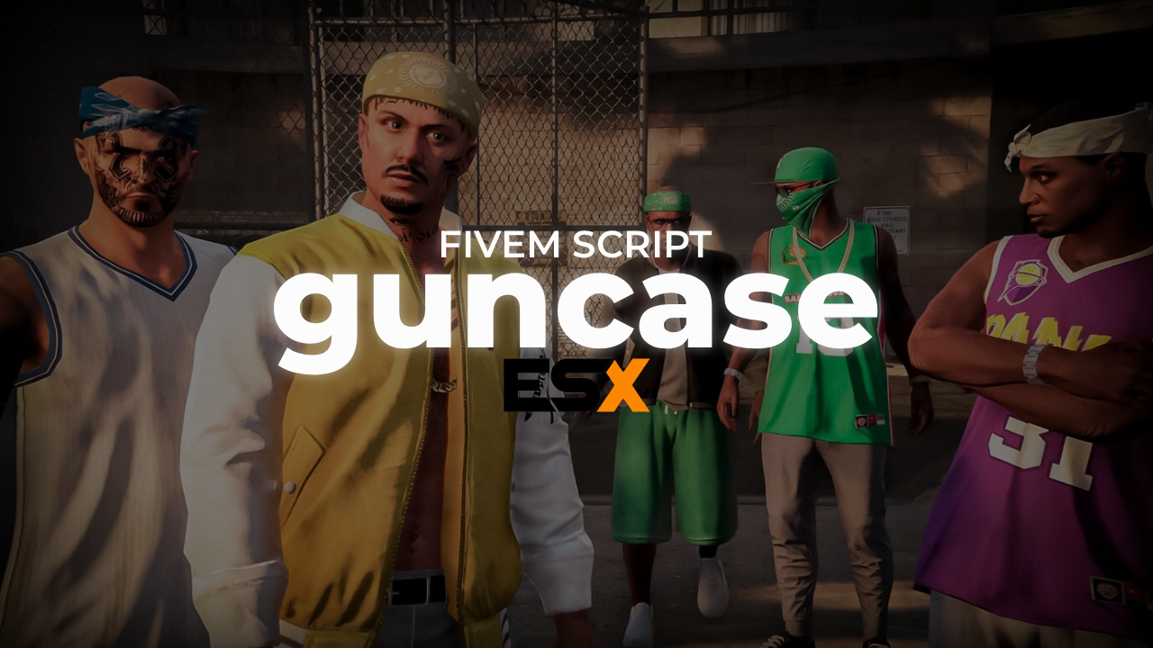 Echo Gun Case
