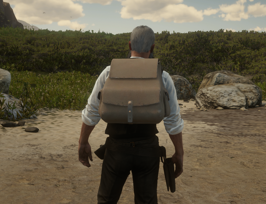 Backpacks