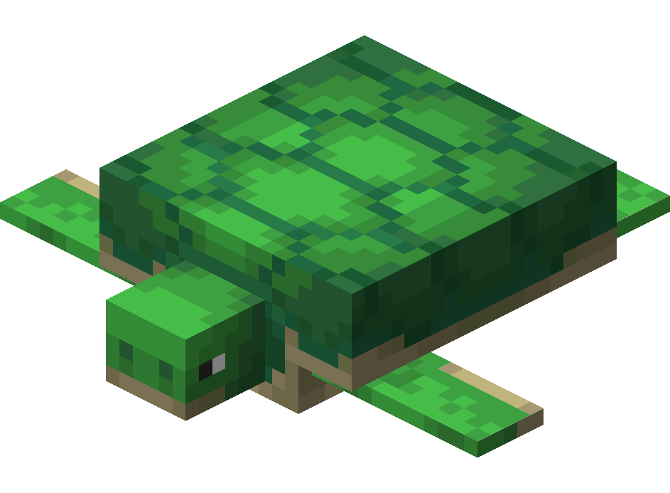 KIT TORTUGA