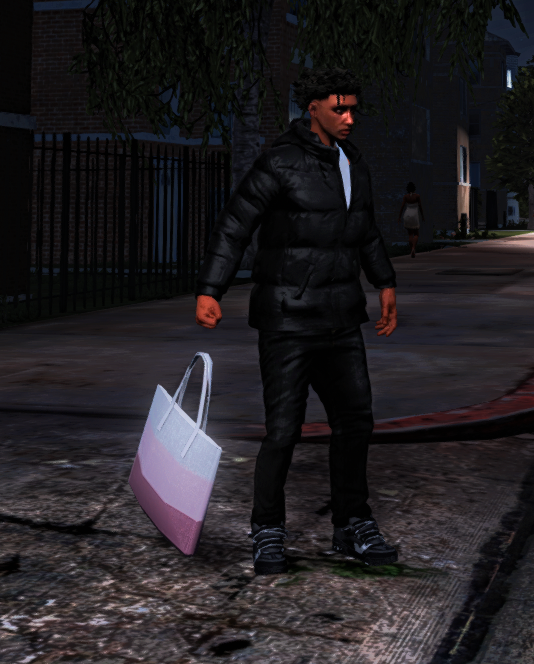 BagPick illegal system