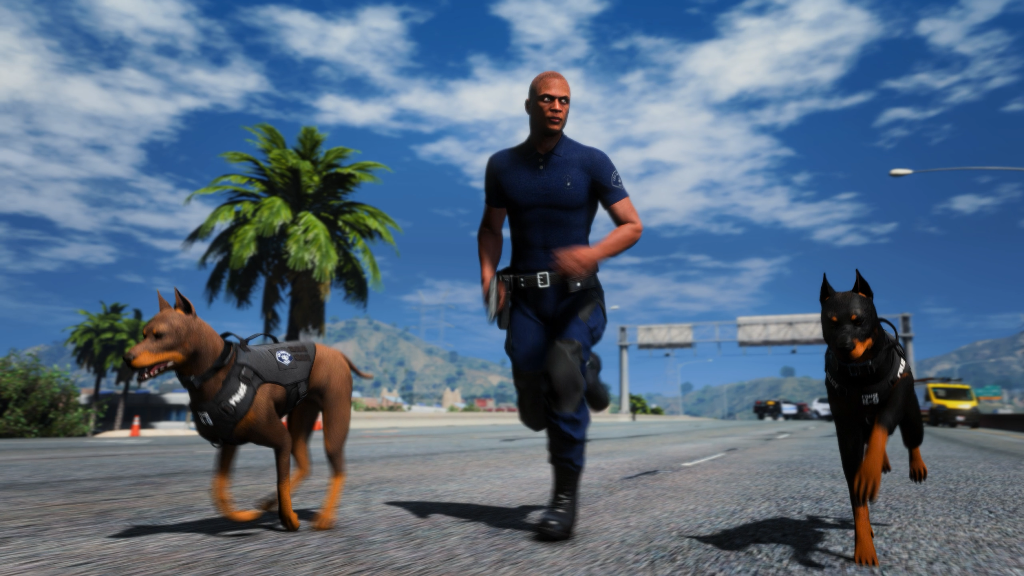 Doberman K9 + Puppy Bundle