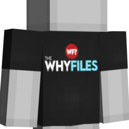 Why Files Logo Shirt