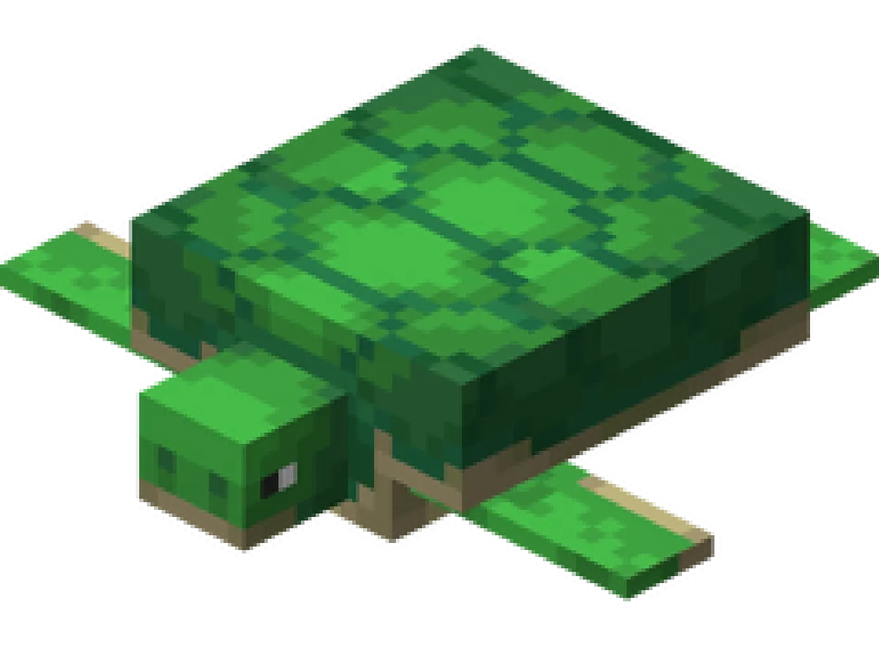 Turtle Bundle
