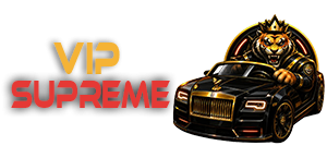 VIP SUPREME - 3 LUNI