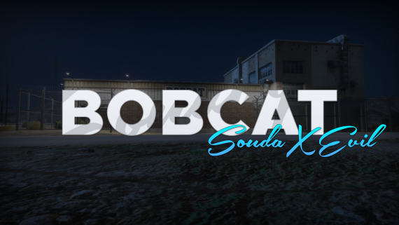 SANDY SHORES BOBCAT | MLO