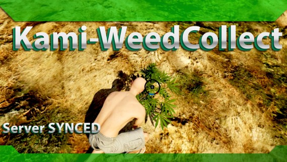 Kami-WeedCollect [QBCore]