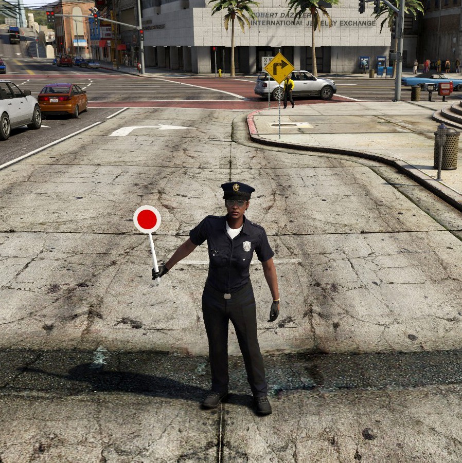 Police stop