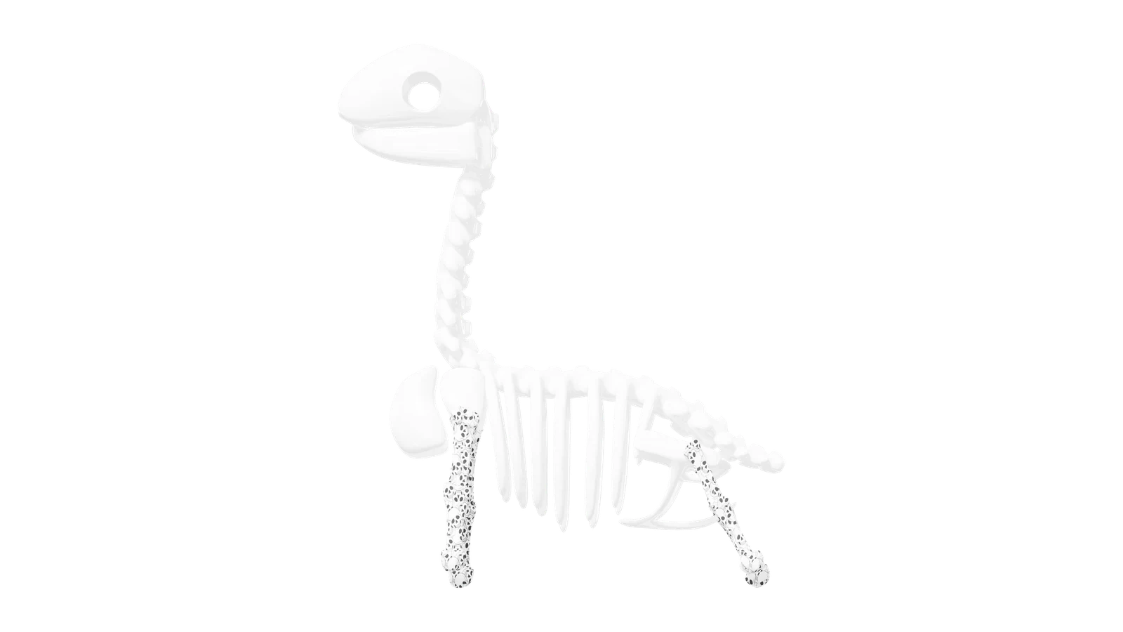 LDSTORE BN - DINO BONES
