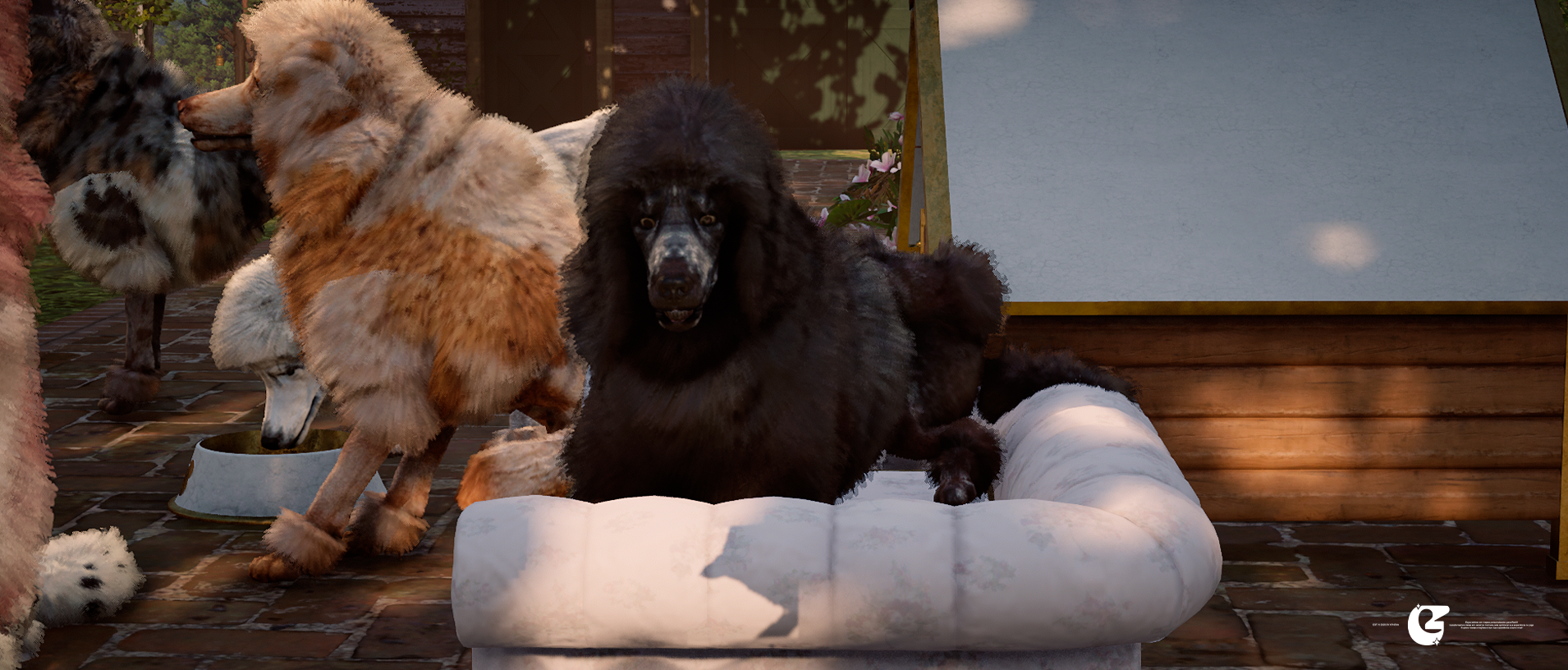 [ Poodle Pack ]